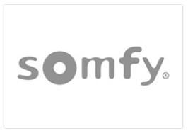 Somfy confie des projets IT à jobSkills.center